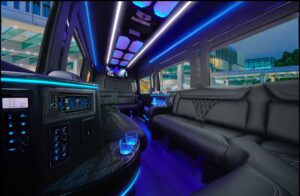 16 passengers Mercedes Sprinter Party Bus style ( Interior )