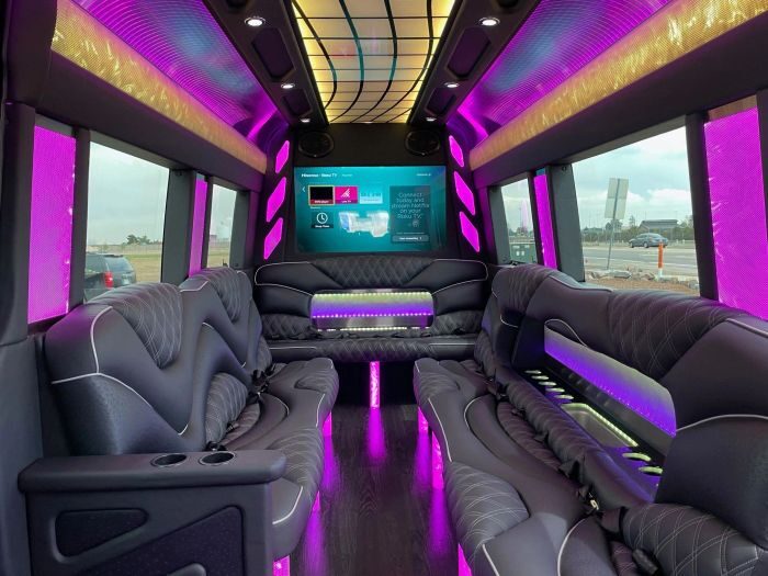Sprinter limo lounge with TV – Woody Creek limo service