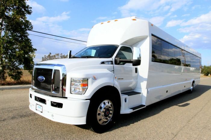 White party bus – Woody Creek limo service