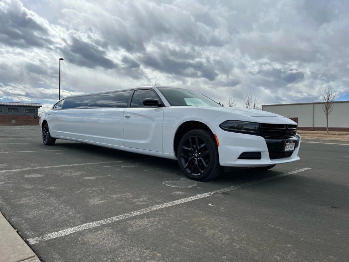 White stretch limo – Woody Creek limo service